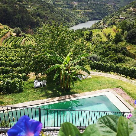 Quinta Barqueiros D'Ouro - Casa Da Musica Villa Mesao Frio Ngoại thất bức ảnh