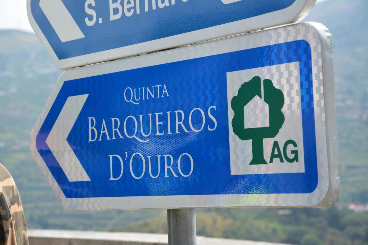 Quinta Barqueiros D'Ouro - Casa Da Musica Villa Mesao Frio Ngoại thất bức ảnh