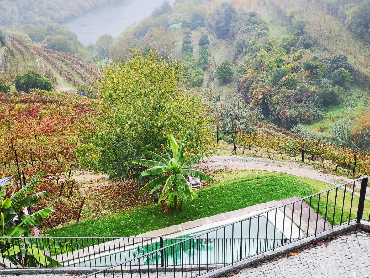 Quinta Barqueiros D'Ouro - Casa Da Musica Villa Mesao Frio Ngoại thất bức ảnh