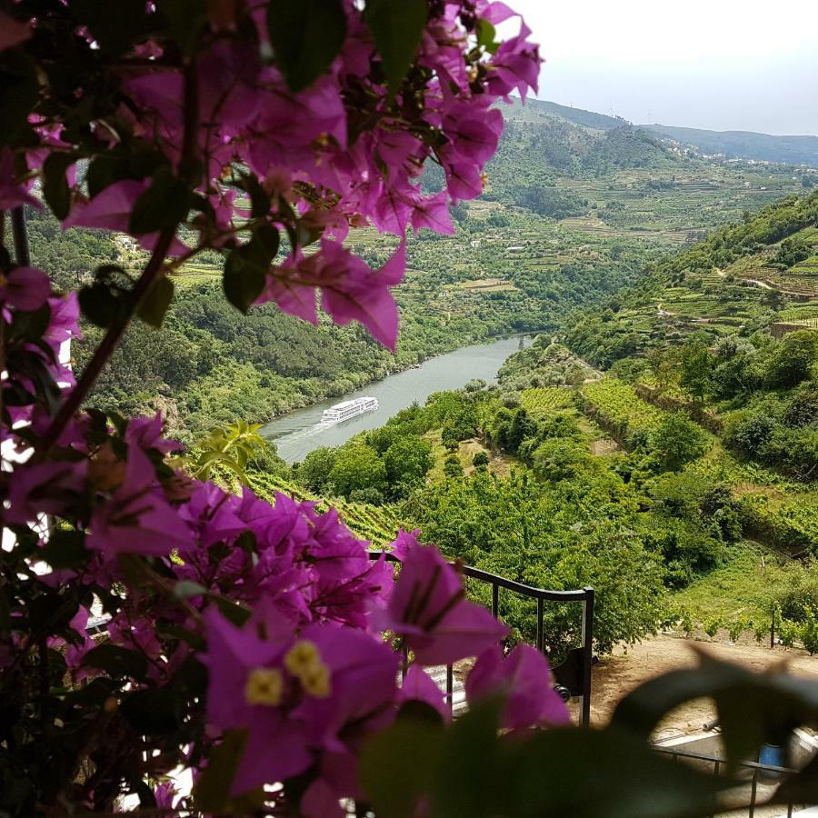 Quinta Barqueiros D'Ouro - Casa Da Musica Villa Mesao Frio Ngoại thất bức ảnh