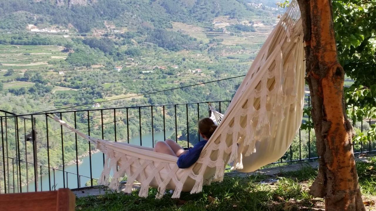 Quinta Barqueiros D'Ouro - Casa Da Musica Villa Mesao Frio Ngoại thất bức ảnh