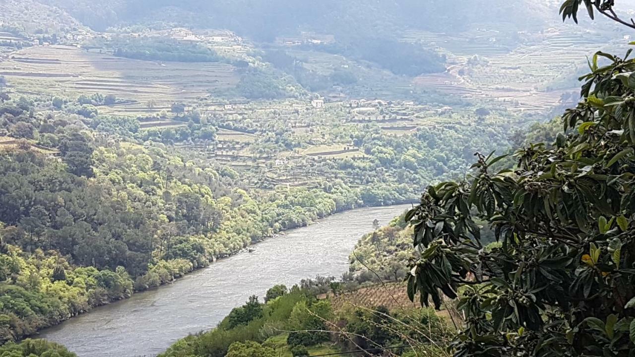 Quinta Barqueiros D'Ouro - Casa Da Musica Villa Mesao Frio Ngoại thất bức ảnh